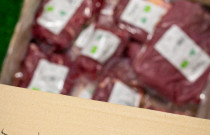 Jautienos rinkinys, Ekologiškas