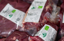 Jautienos rinkinys, Ekologiškas