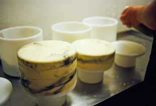 Balaitė su pelenais,...