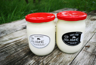 Jogurtas, natūralius karvės...