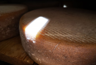 Balaitė, pusminkštis...