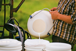 Raistukas, šviežias karvės...