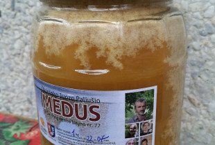 Pievų medus (vasaros...