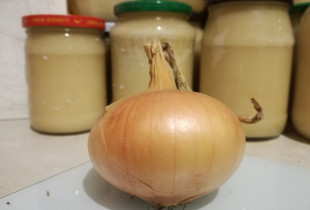 Svogūnai „Stutgarten reisen“