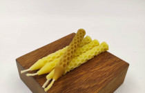 Bičių vaško žvakė „Koriukas plonasis”