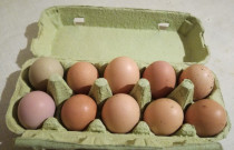 Laisvai besiganančių vištų kiaušiniai