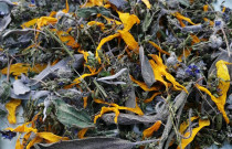 Arbata „Bronchams”