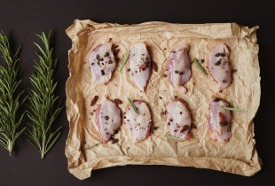 Putpelių krūtinėlių filė...