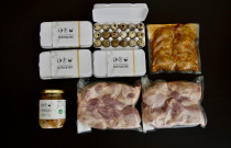 Putpelių rinkinys MIDI