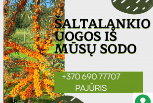 Tvariai užaugintos...