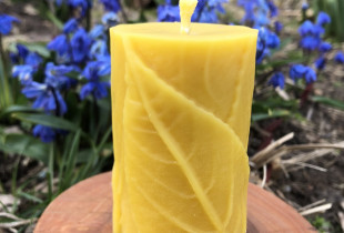 Bičių vaško žvakė „Žaluma”