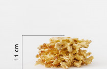 Naminis Jolantos šakotis su sviestu, 0.8 kg