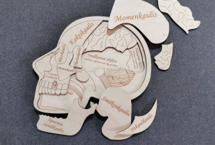 Medinė mokomoji dėlionė...