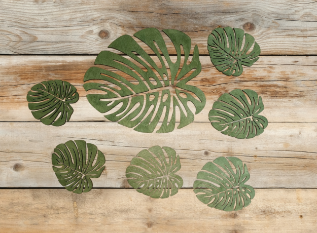 Stalo padėkliukai „Monstera“