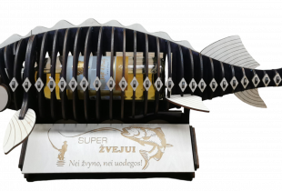 Dekoracija buteliui „Erškėtas“