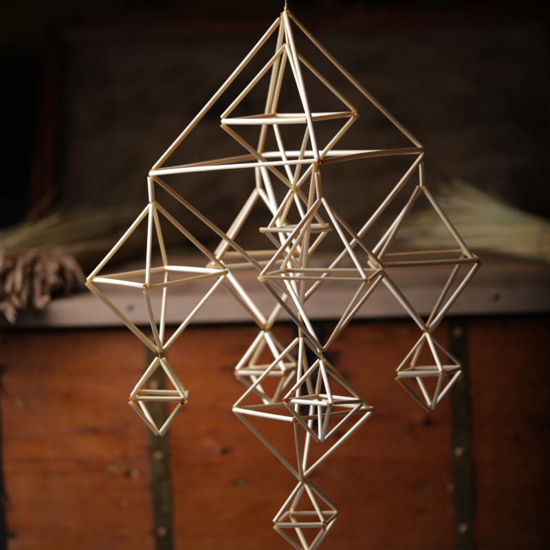 Kūrybinis rinkinys ,,Šeimos sodo vėrimas”