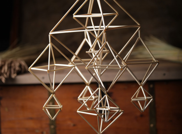 Kūrybinis rinkinys ,,Šeimos sodo vėrimas”