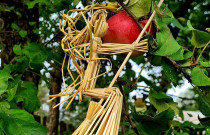 Šiaudinės raganaitės (3 vnt.)