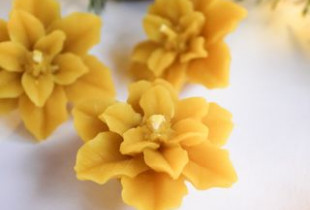 Žvakė Plaukiojanti...