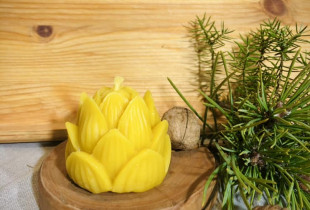 „Lotosas” - bičių vaško žvakė