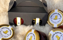 Rinkinys (skanu+sveika)