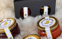 Rinkinys (skanu+sveika)