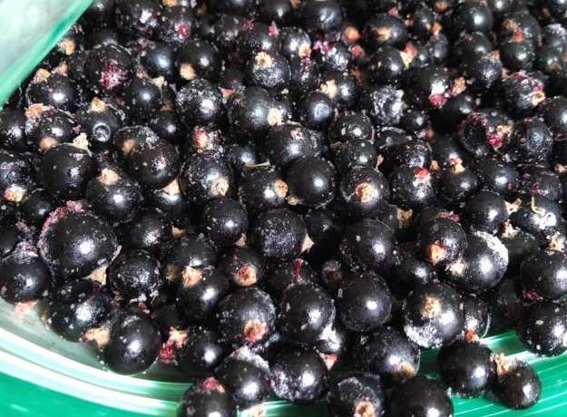 ŠALDYTI juodieji serbentai