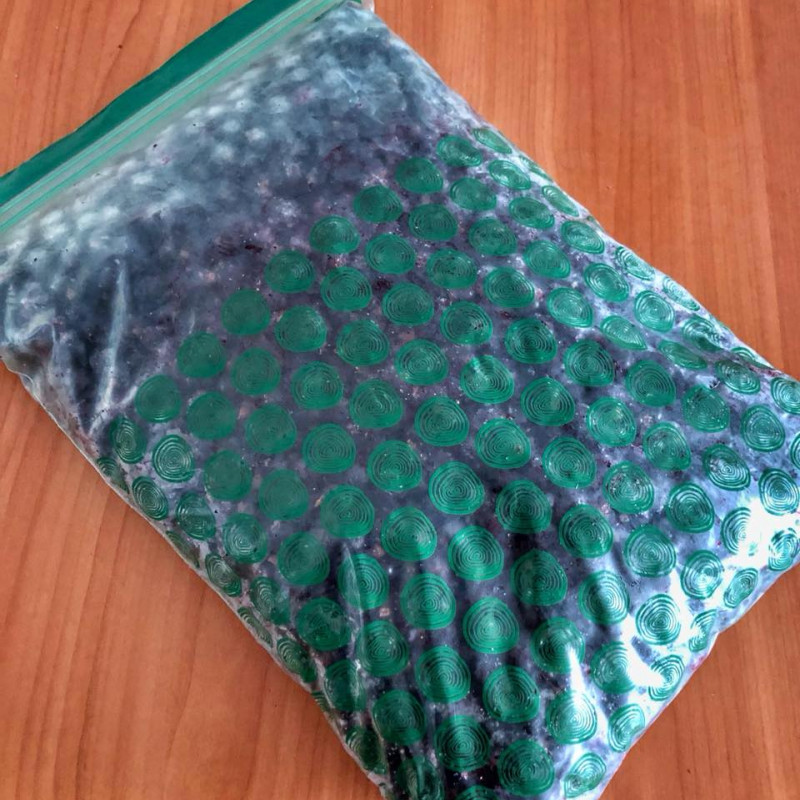 ŠALDYTI juodieji serbentai