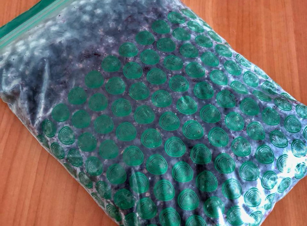 ŠALDYTI juodieji serbentai