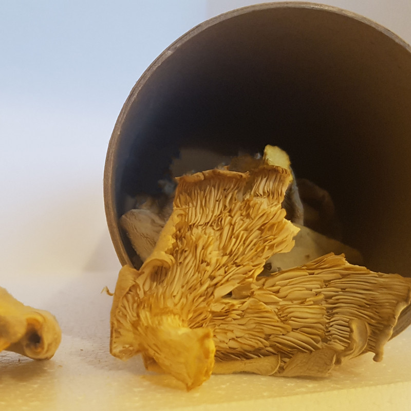 Džiovintos kreivabudės 50 g