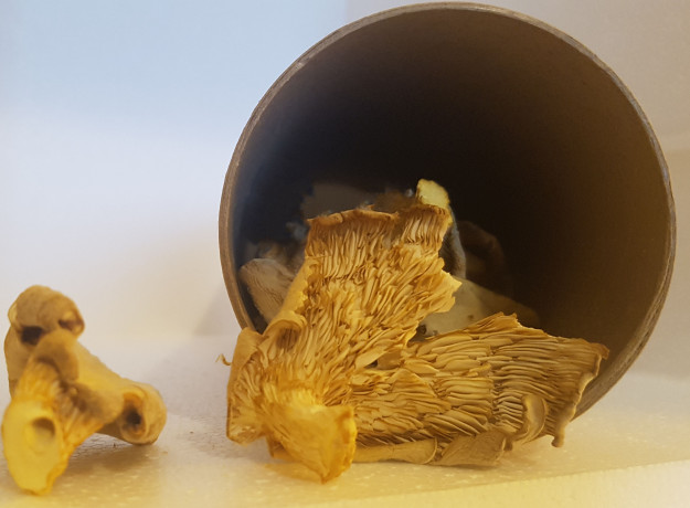 Džiovintos kreivabudės 50 g