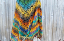 Skara „Nakties Daina”