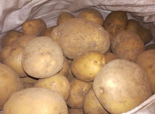 Atrinktos bulvės iš Širvintų (nenaud. pesticidų)
