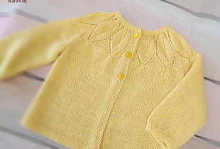 Megztinis „Lapeliai”