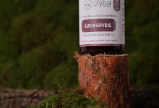 Ausiagrybio grybų ekstrakto...