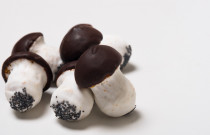 Meduoliniai Grybukai su šokolado glaistu (500 gr.)