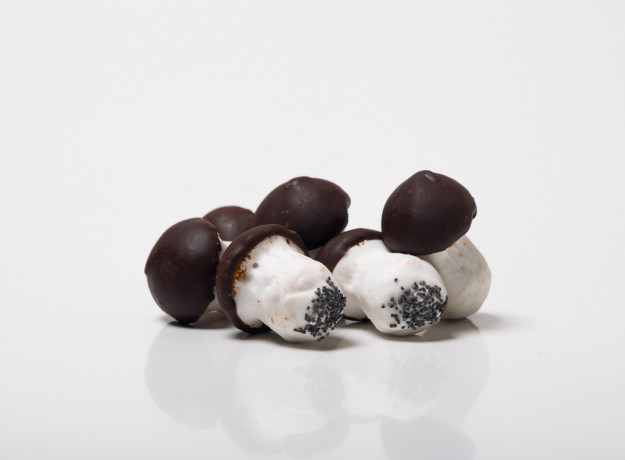 Meduoliniai Grybukai su šokolado glaistu (500 gr.)