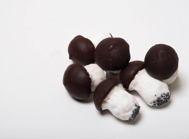 Meduoliniai Grybukai su šokolado glaistu (500 gr.)