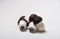 Meduoliniai Grybukai su šokolado glaistu (500 gr.)