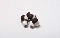 Meduoliniai Grybukai su šokolado glaistu (500 gr.)