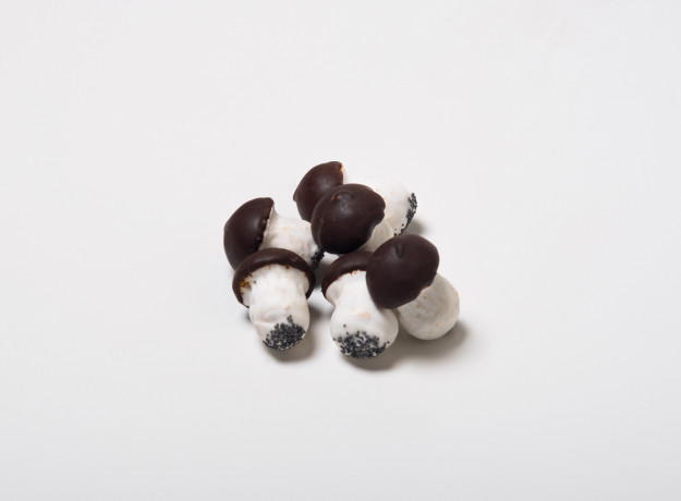 Meduoliniai Grybukai su šokolado glaistu (500 gr.)