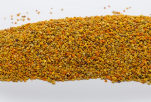 Žiedadulkės surinktos bičių...