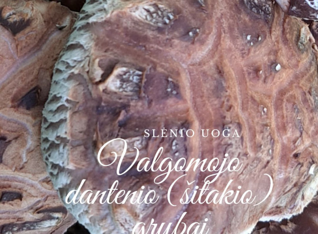 Ant rąstelių auginti grybai shiitake (Valgomasis Dantenis), 300 g