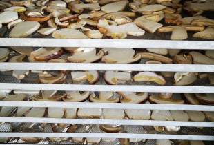 Džiovinti baravykai 1 kg