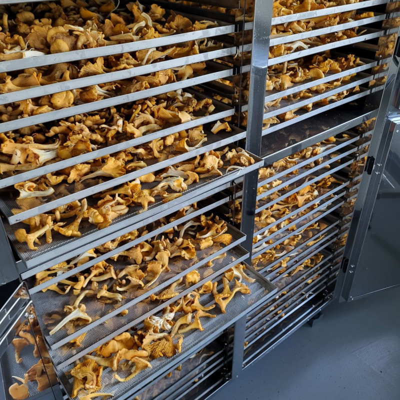 Džiovintos voveraitės 250 g