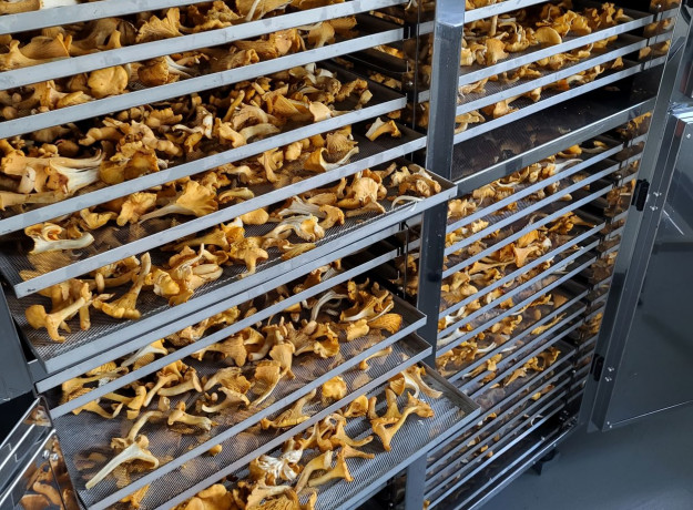 Džiovintos voveraitės 250 g