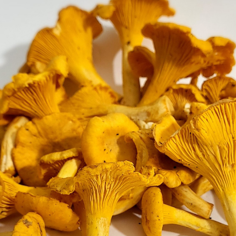 Džiovintos voveraitės 250 g