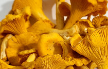 Džiovintos voveraitės 250 g