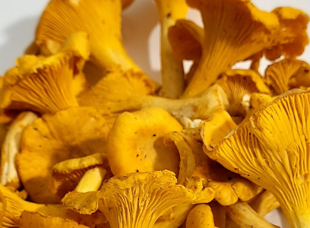 Džiovintos voveraitės 250 g