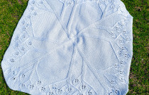 Pledukas „Pelėda”